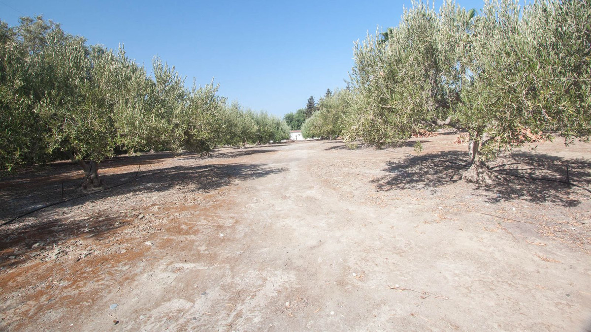 Maison de campagne à vendre à Estepona 37