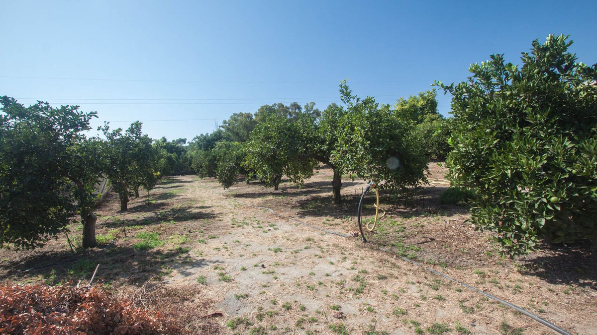 Maison de campagne à vendre à Estepona 38