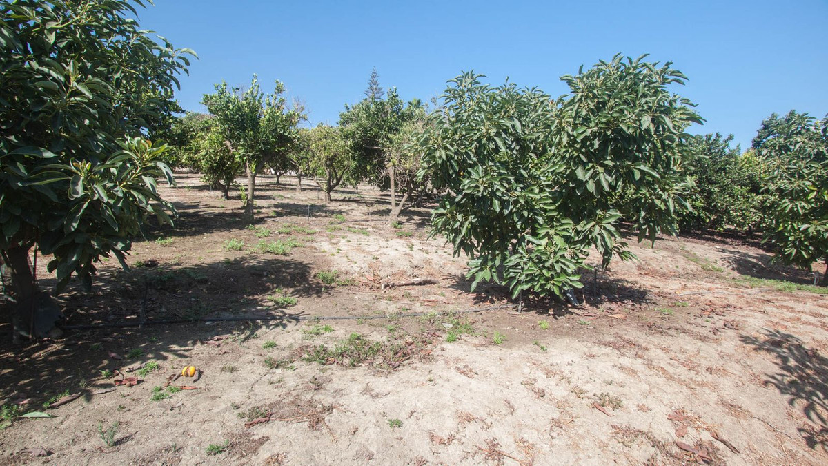 Maison de campagne à vendre à Estepona 39