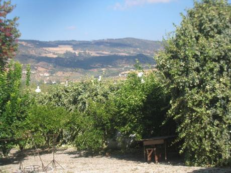Countryhome for sale in Ronda 22