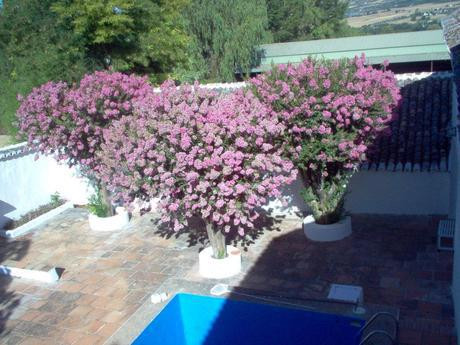 Countryhome for sale in Ronda 32