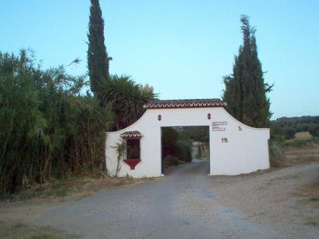 Countryhome for sale in Ronda 50