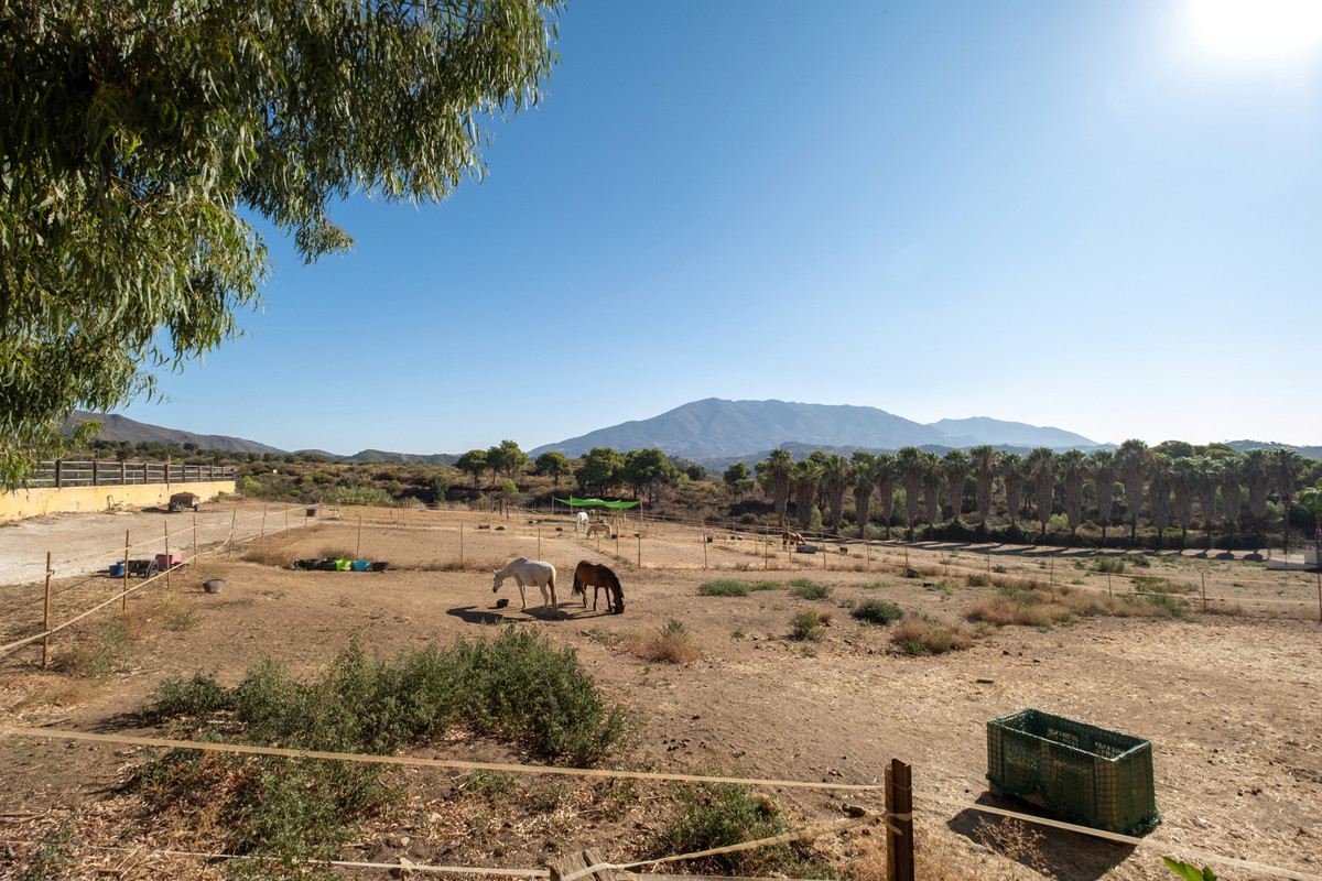 Maison de campagne à vendre à Mijas 26