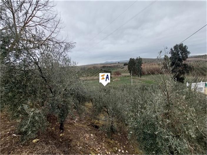 Countryhome for sale in Guardamar and surroundings 16