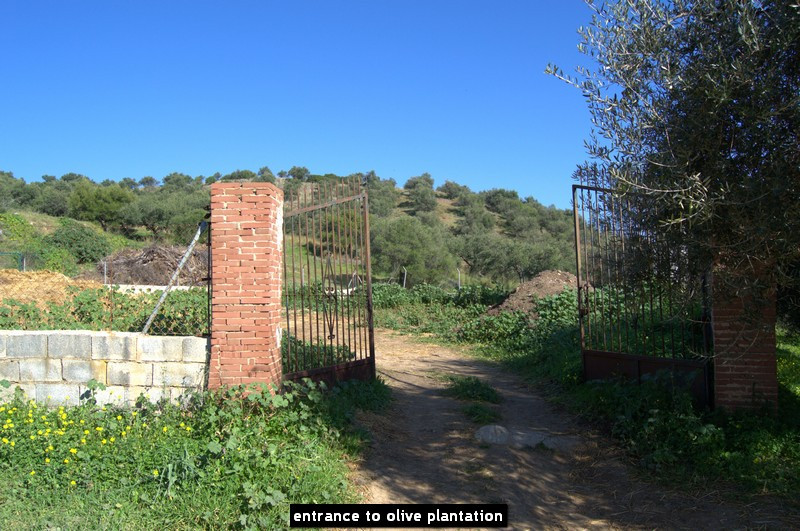 Countryhome for sale in Mijas 48