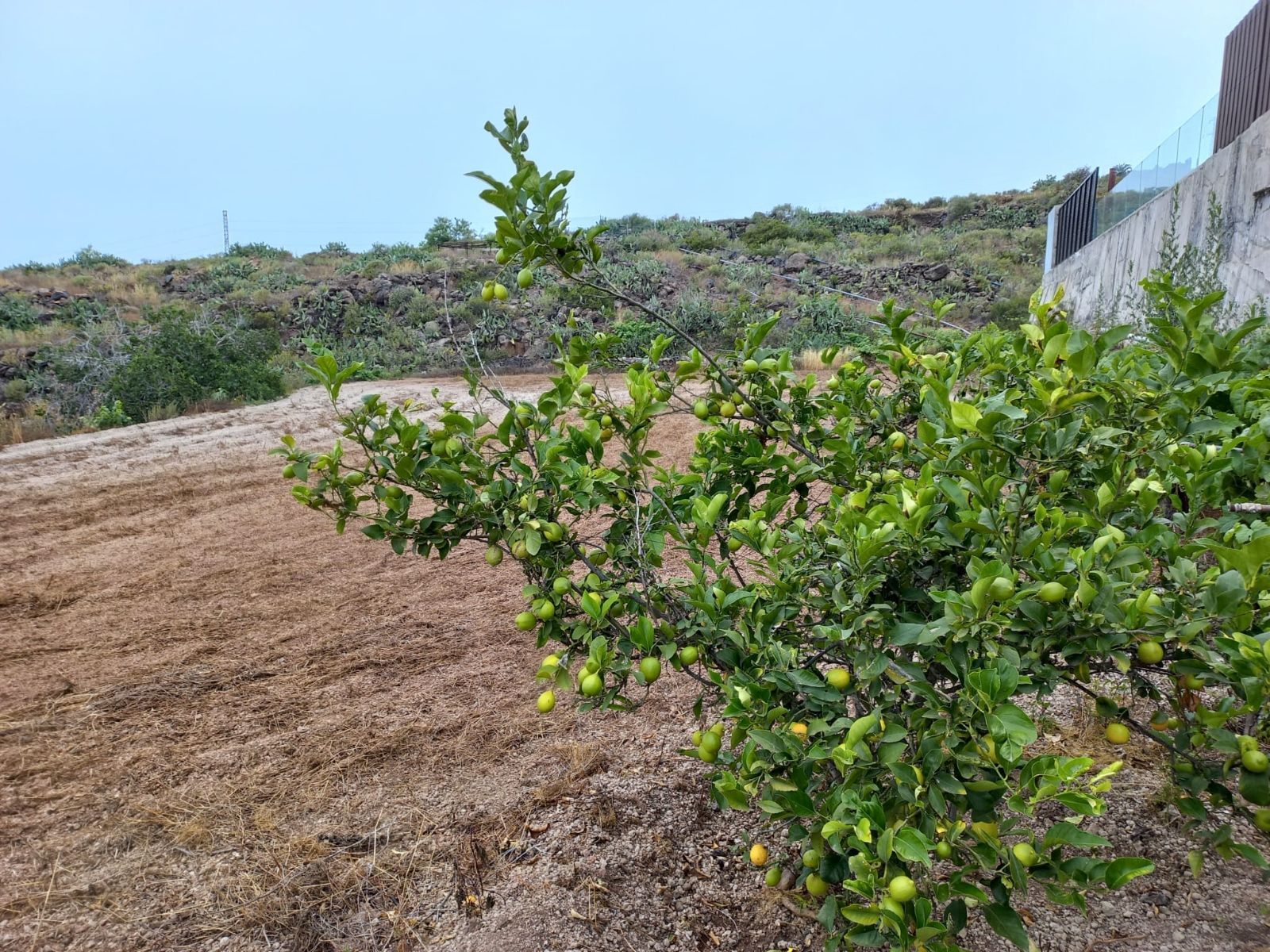 Plot zum Verkauf in Tenerife 3