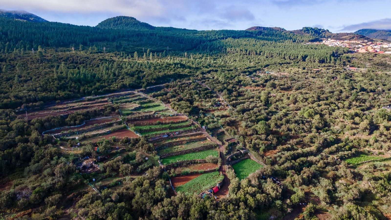 Plot à vendre à Tenerife 15