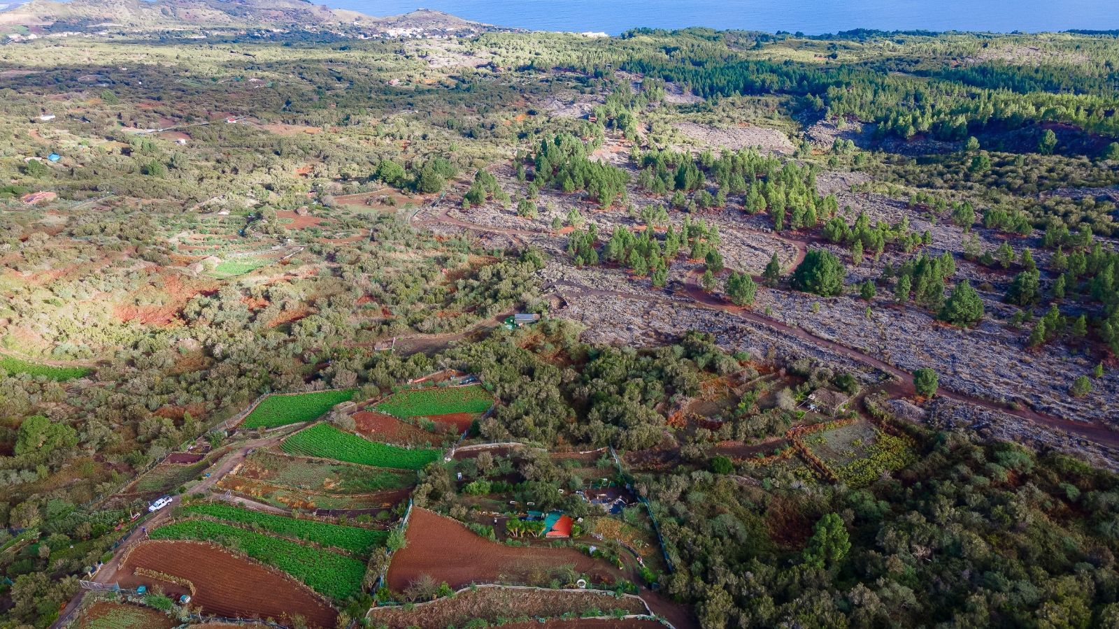 Plot à vendre à Tenerife 7