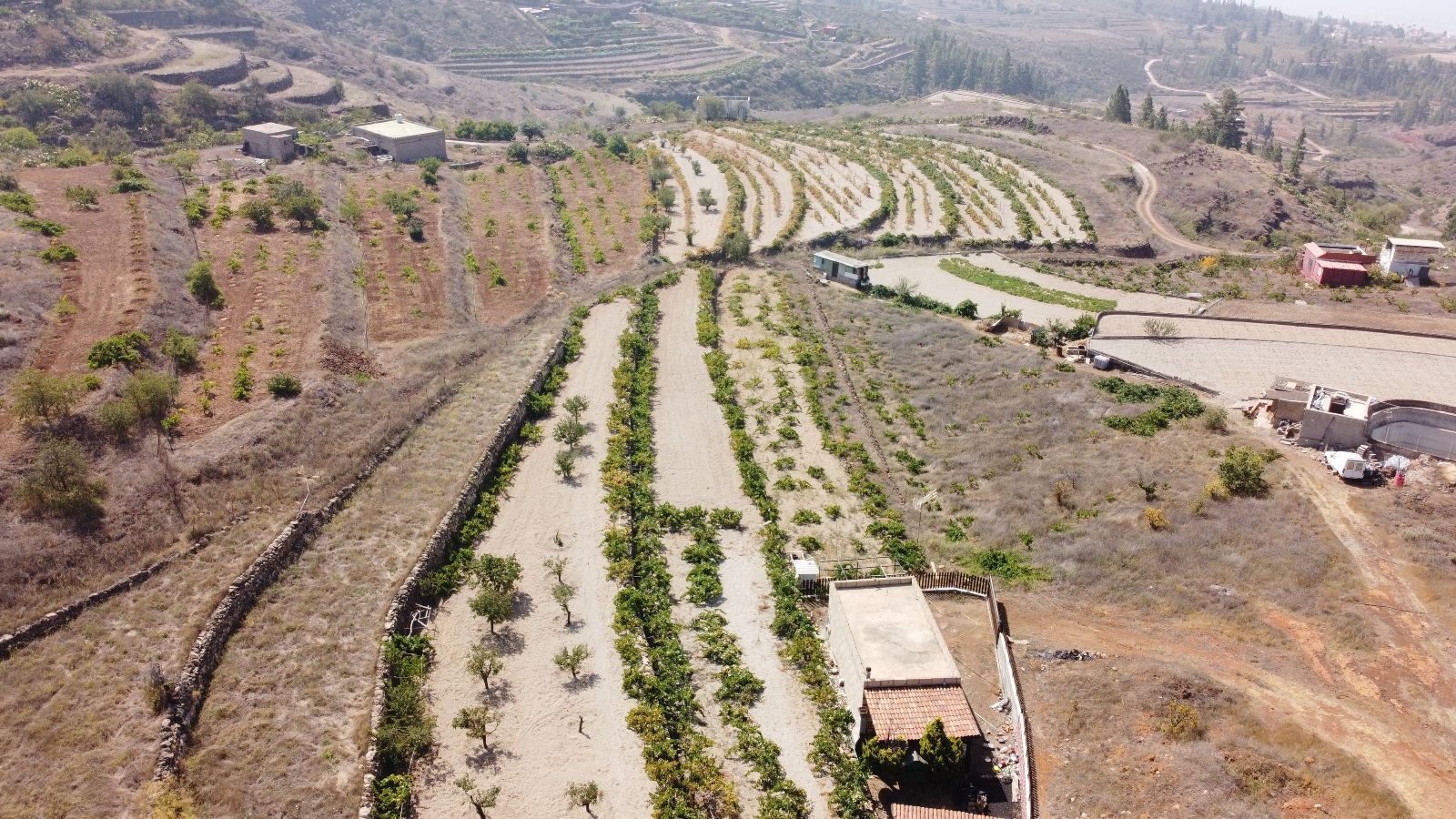 Plot à vendre à Tenerife 4