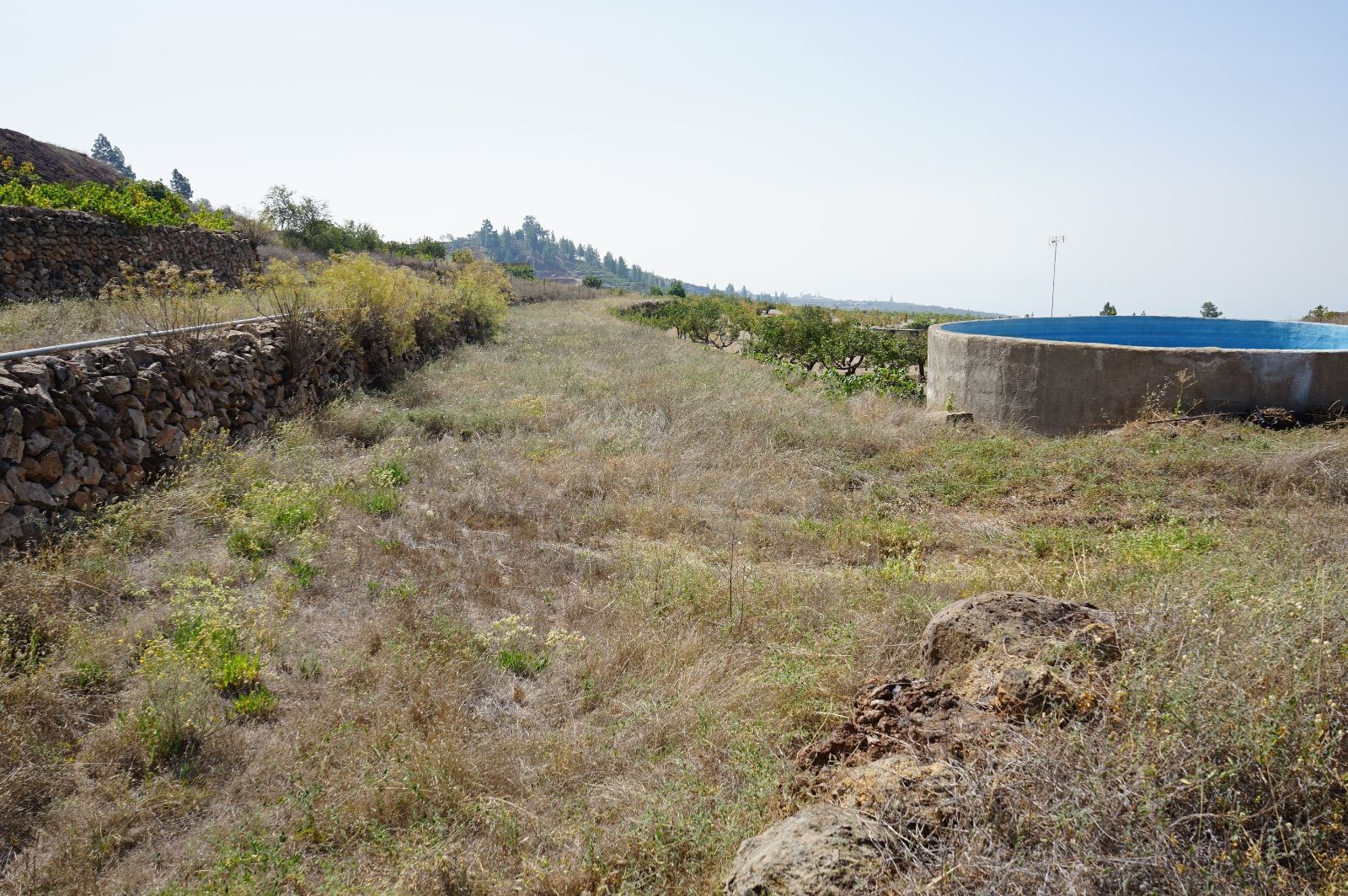 Plot à vendre à Tenerife 7