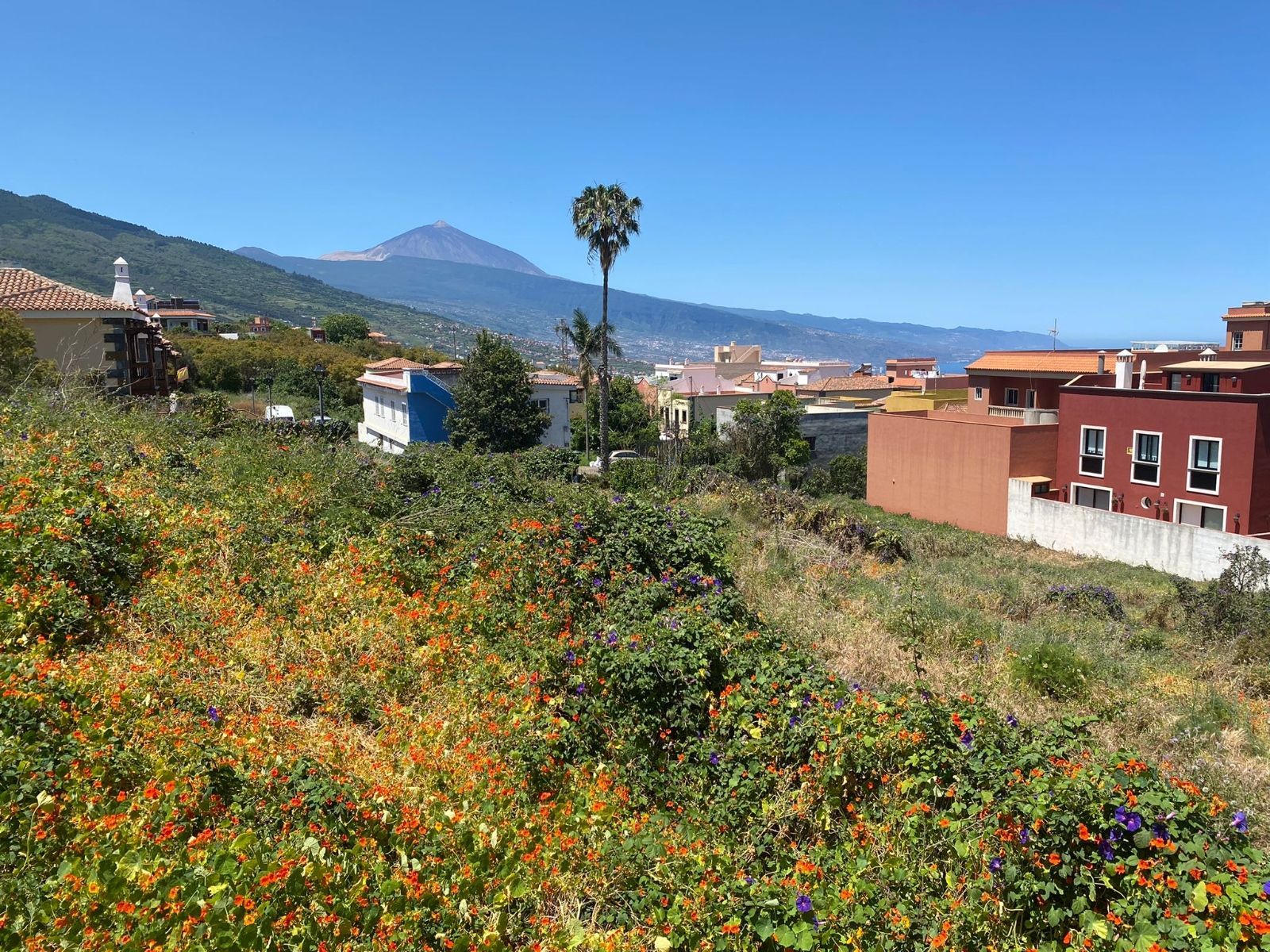Plot for sale in Tenerife 5