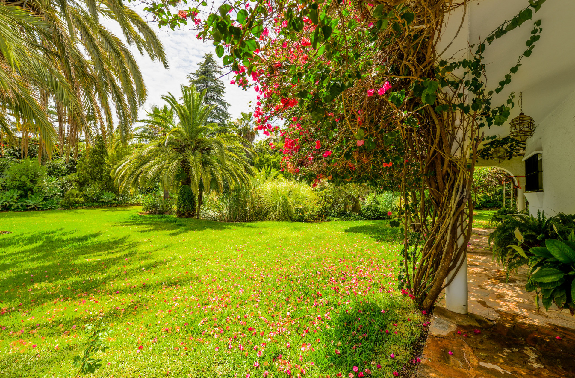 Villa for sale in Marbella - Golden Mile and Nagüeles 20