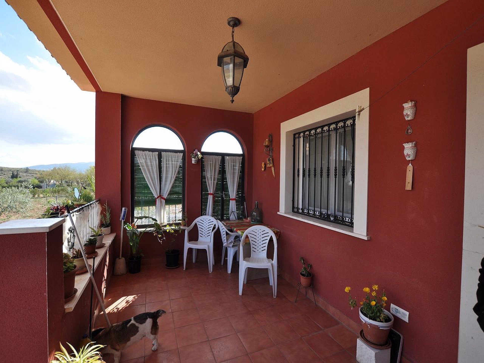 Villa à vendre à Guardamar and surroundings 18