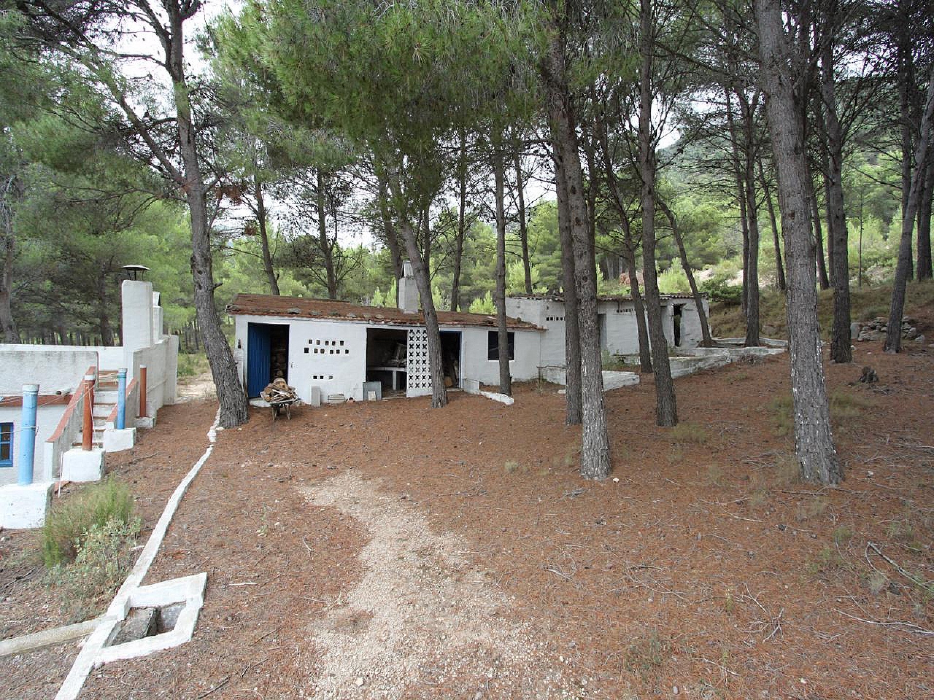 Casas de Campo en venta en Alicante 31