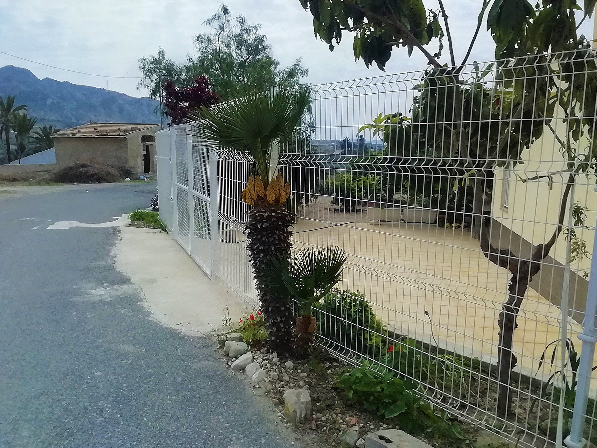 Villa for sale in Guardamar and surroundings 117