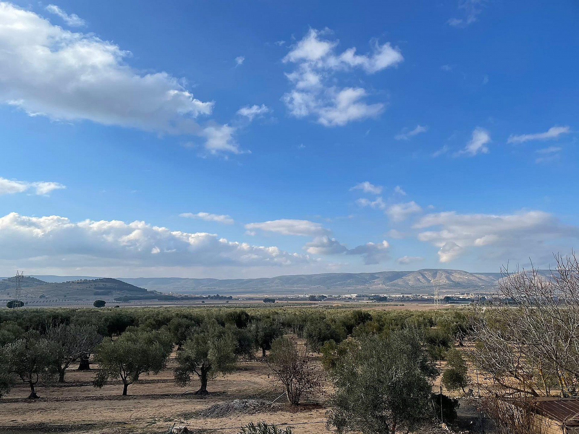 Casas de Campo en venta en Alicante 7