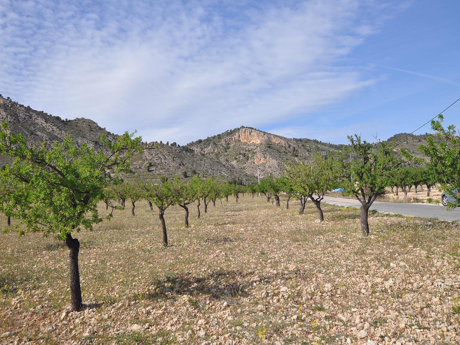 Plot à vendre à Alicante 4