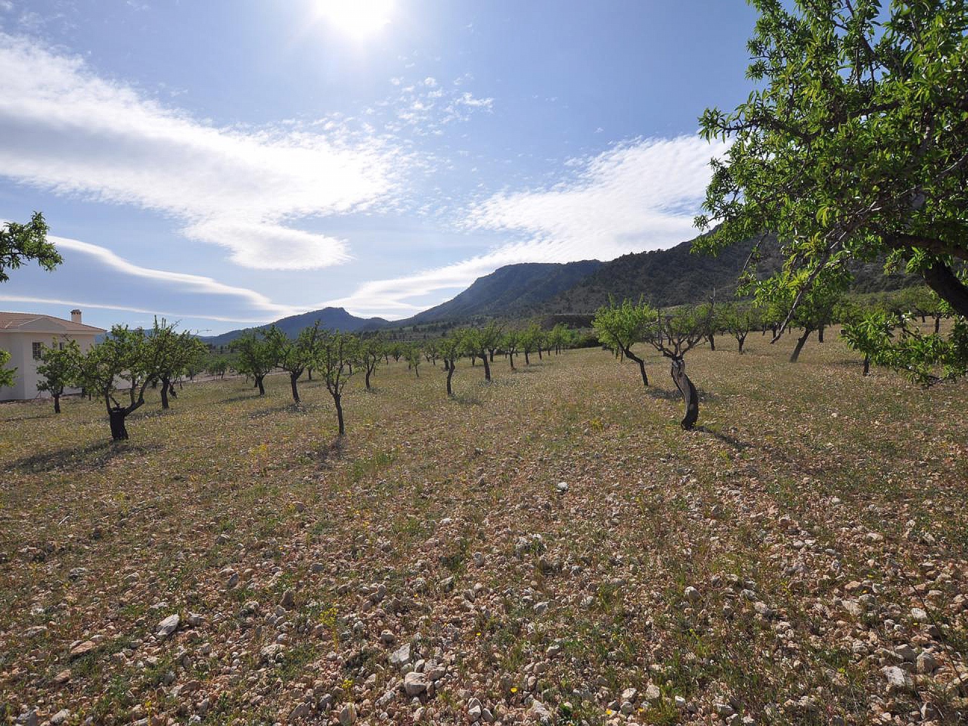 Plot à vendre à Alicante 6