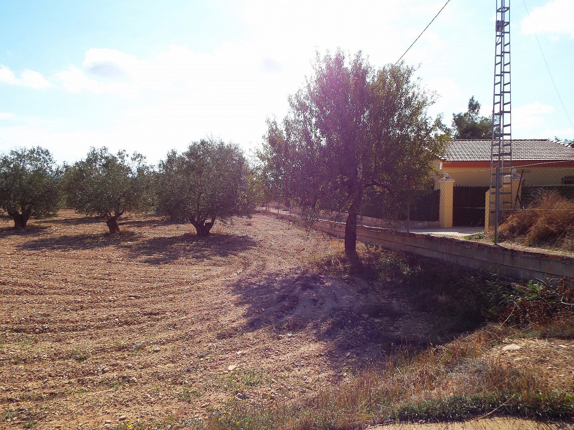 Countryhome for sale in Guardamar and surroundings 45