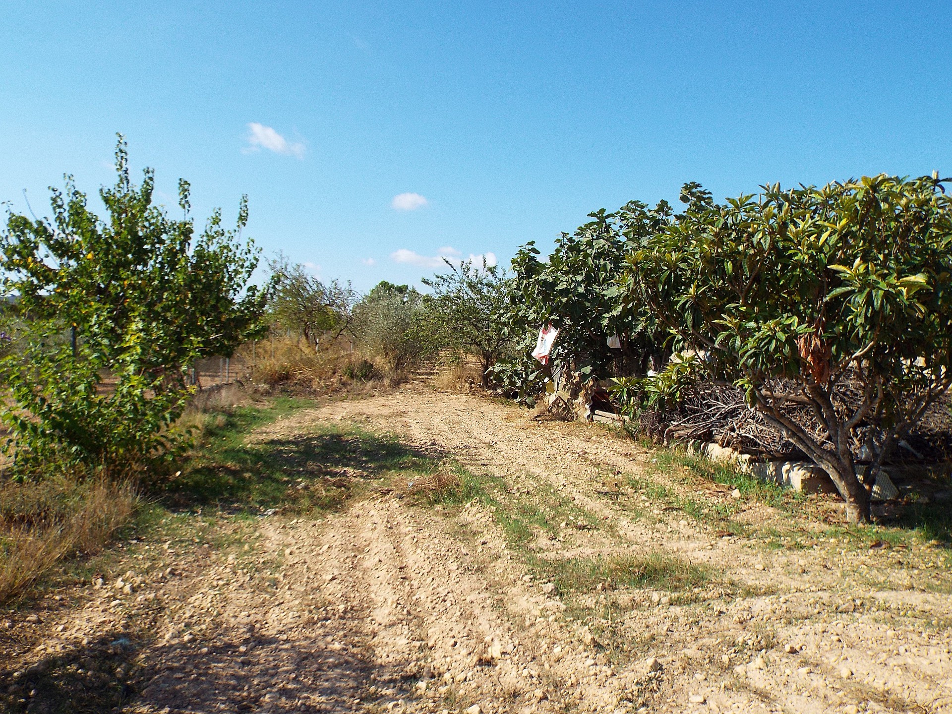 Casas de Campo en venta en Guardamar and surroundings 61