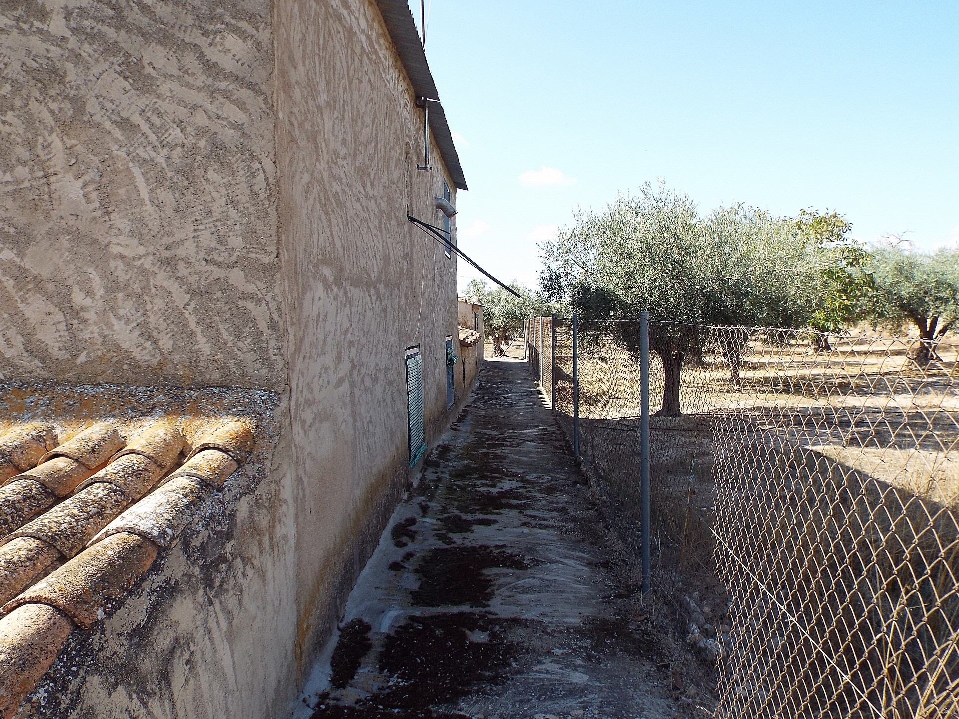 Maison de campagne à vendre à Guardamar and surroundings 62