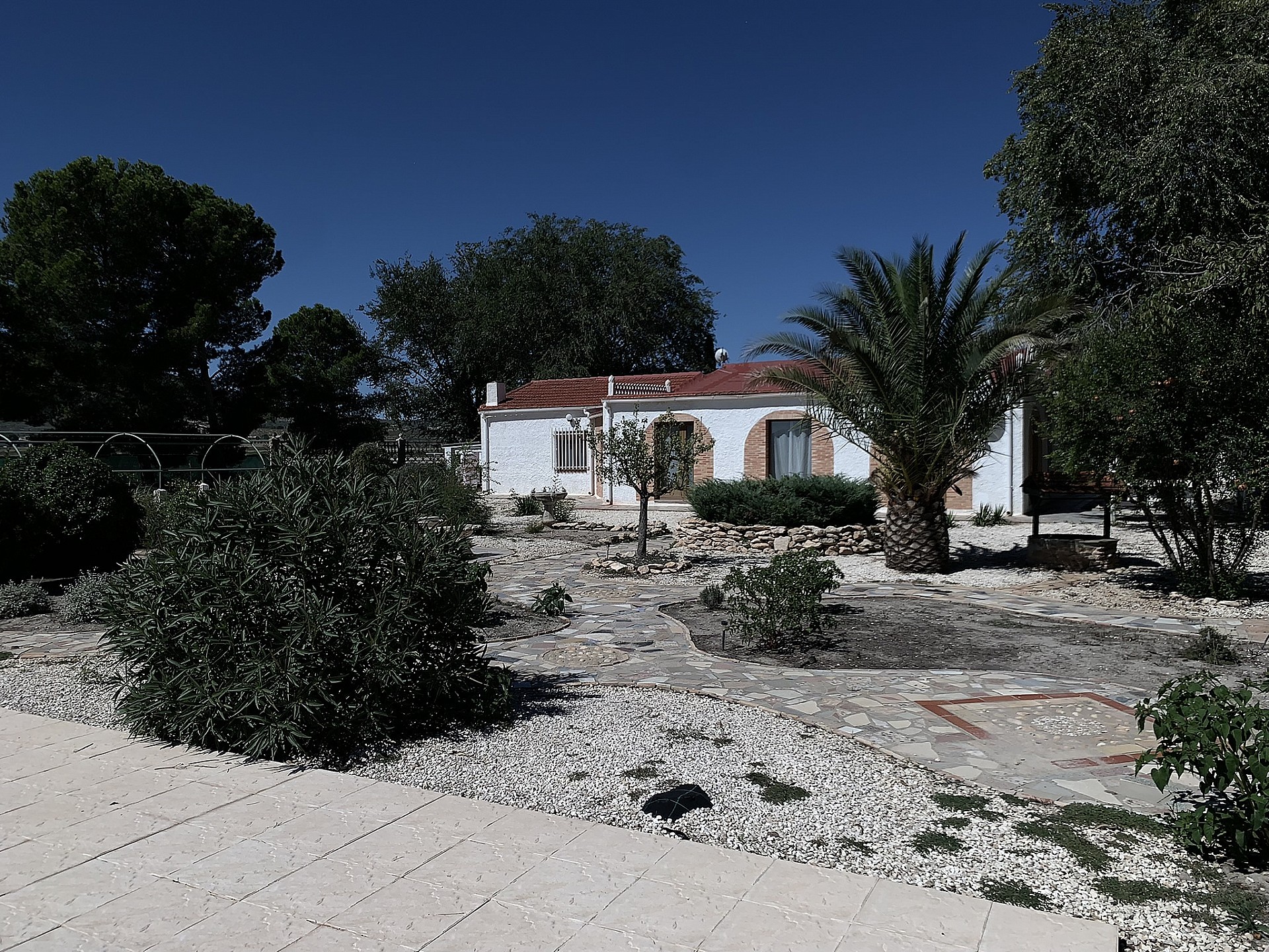 Villa for sale in Guardamar and surroundings 66