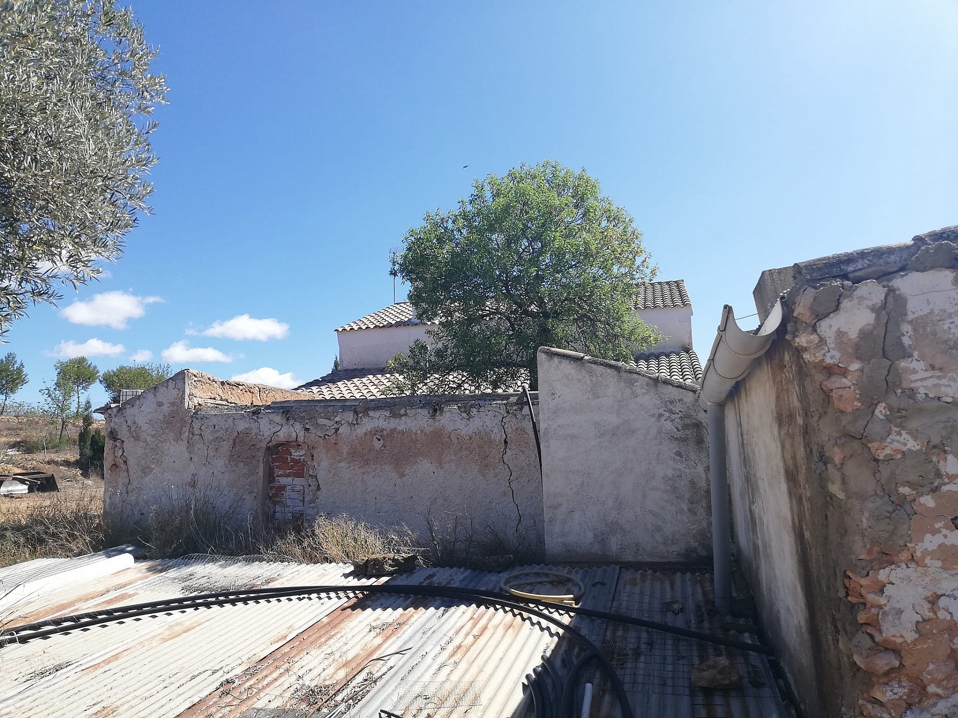 Casas de Campo en venta en Guardamar and surroundings 41