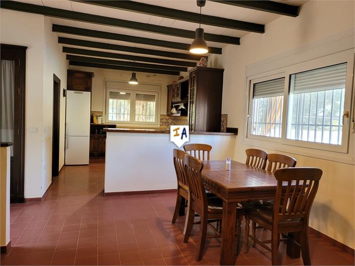 Countryhome for sale in Towns of the province of Seville 8