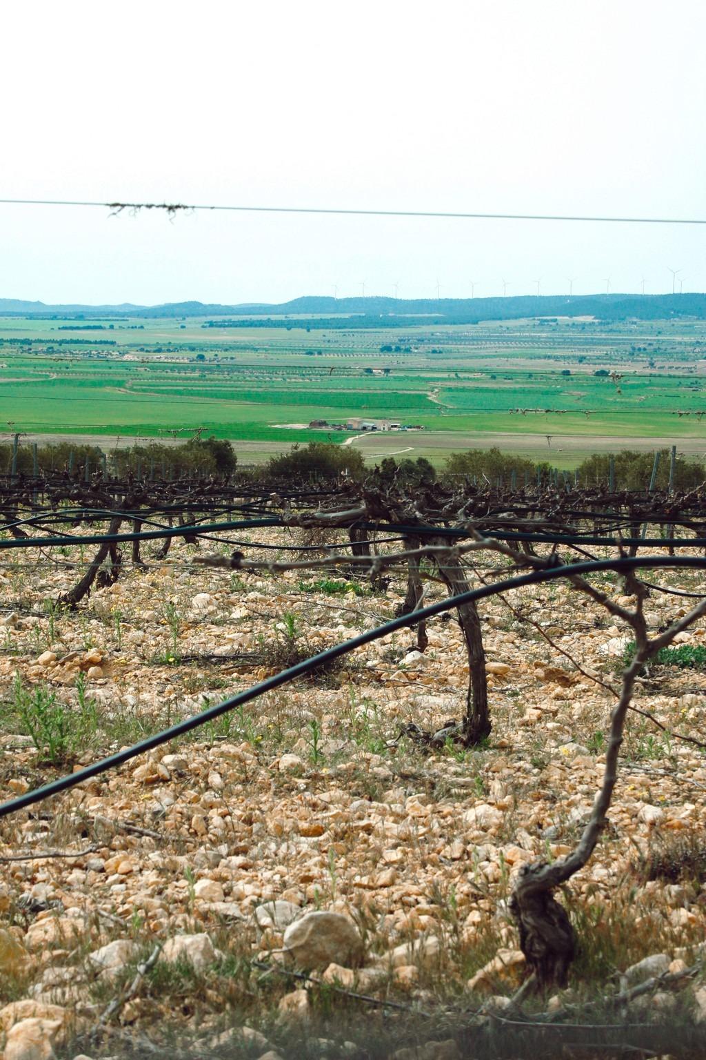 Chalé en venta en Guardamar and surroundings 33