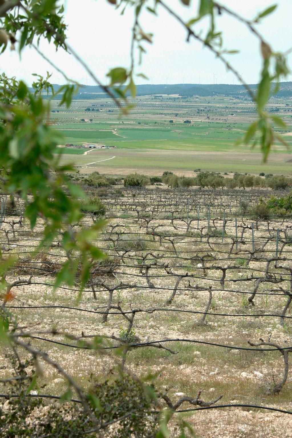 Willa na sprzedaż w Guardamar and surroundings 34