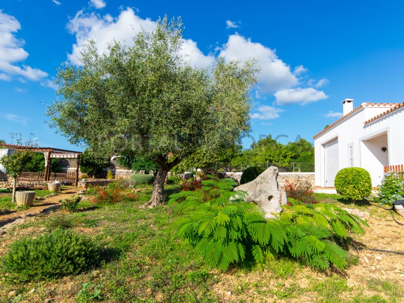 Countryhome for sale in Guardamar and surroundings 44