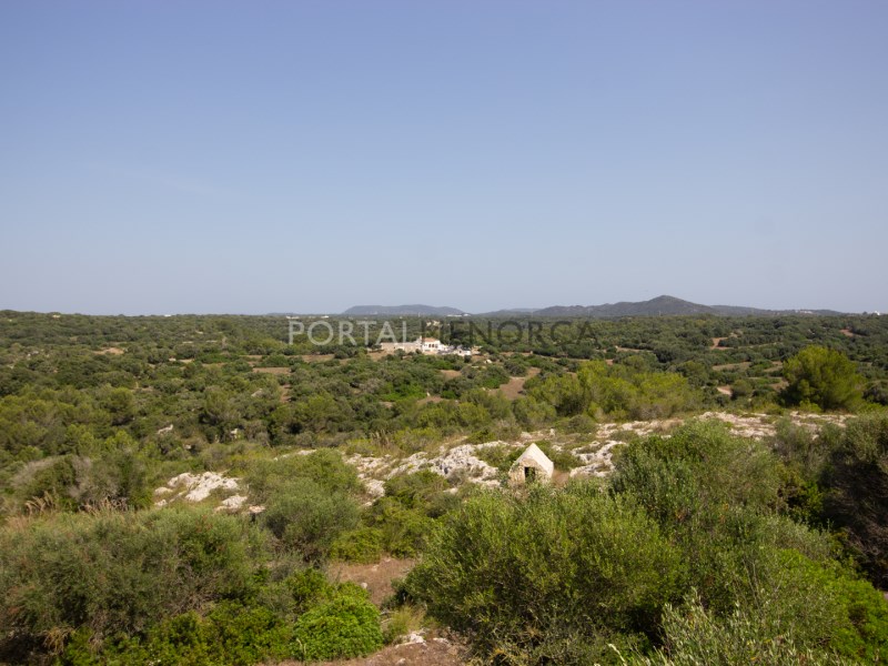 Countryhome for sale in Guardamar and surroundings 25