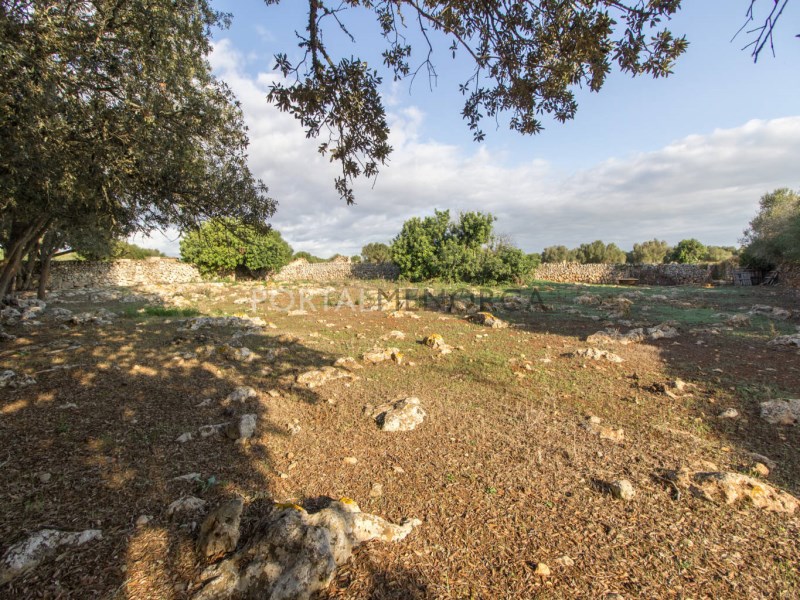 Plot te koop in Menorca East 6