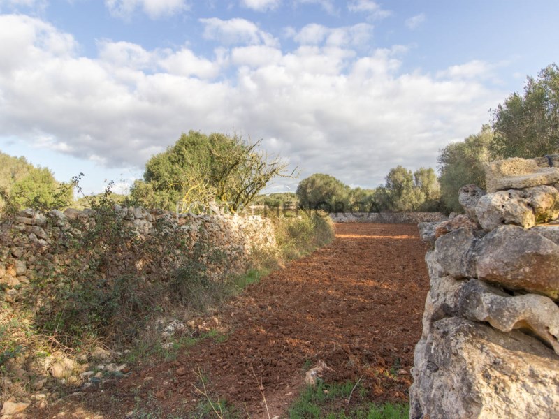 Plot te koop in Menorca East 18