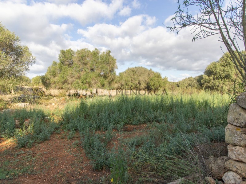 Plot zum Verkauf in Menorca East 21