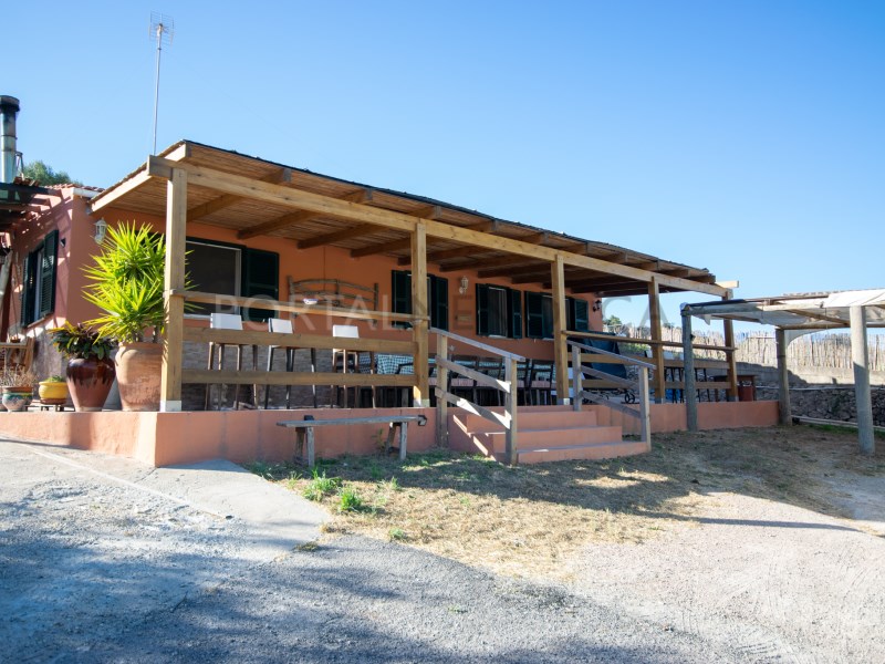 Countryhome te koop in Guardamar and surroundings 4