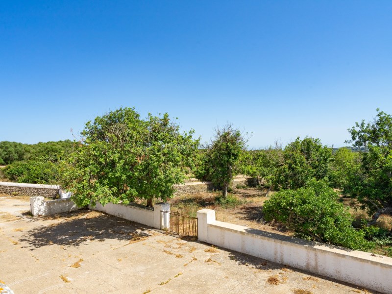 Maison de campagne à vendre à Guardamar and surroundings 38