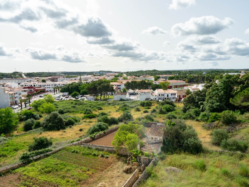 Plot à vendre à Guardamar and surroundings 4