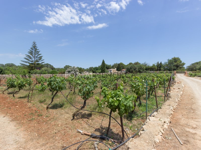 Countryhome for sale in Menorca East 31