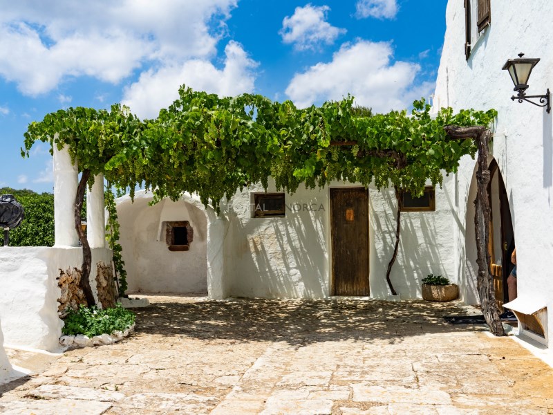 Casas de Campo en venta en Menorca East 7