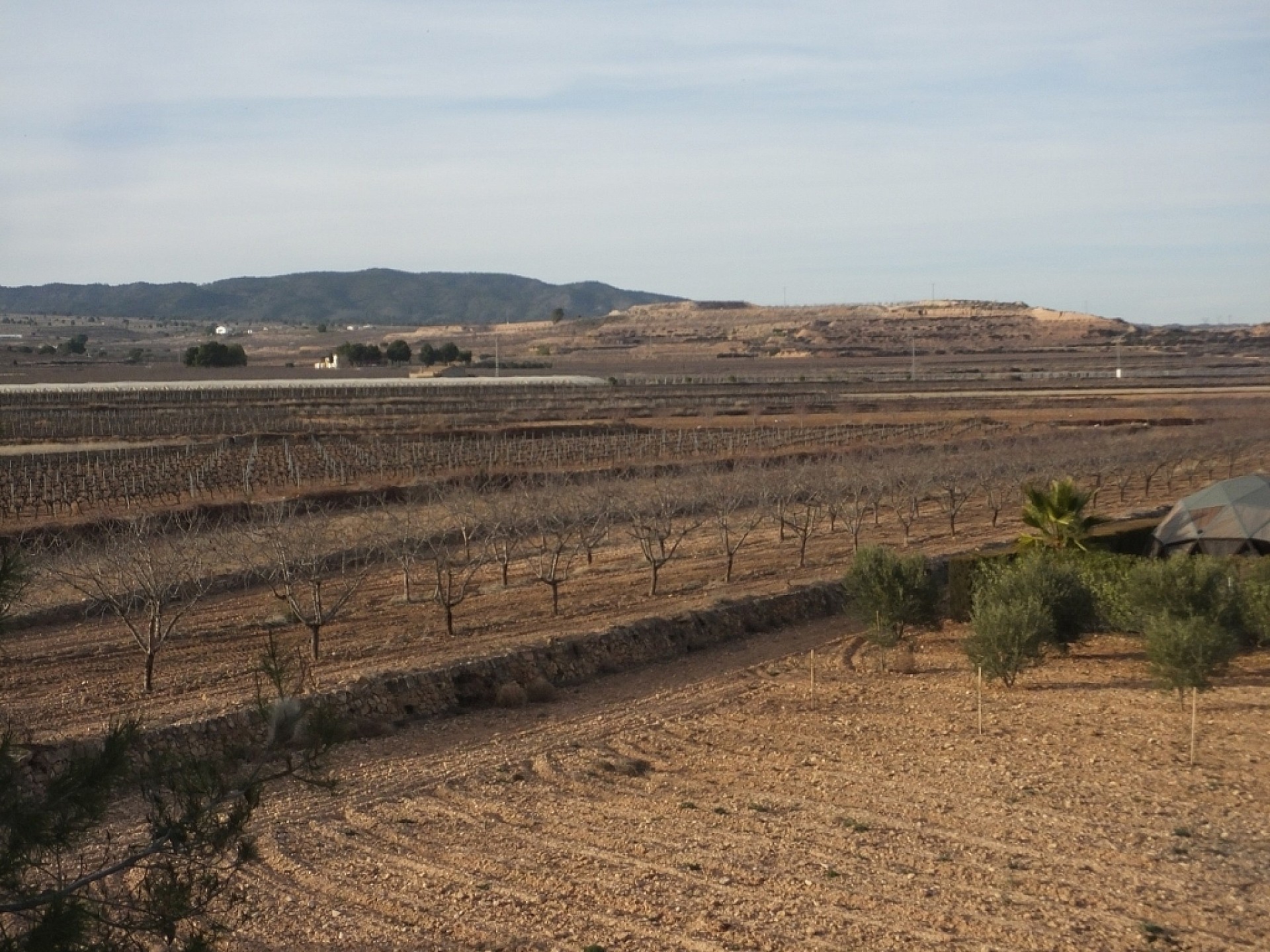 Maison de campagne à vendre à Alicante 26