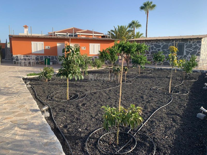 Countryhome for sale in Tenerife 47