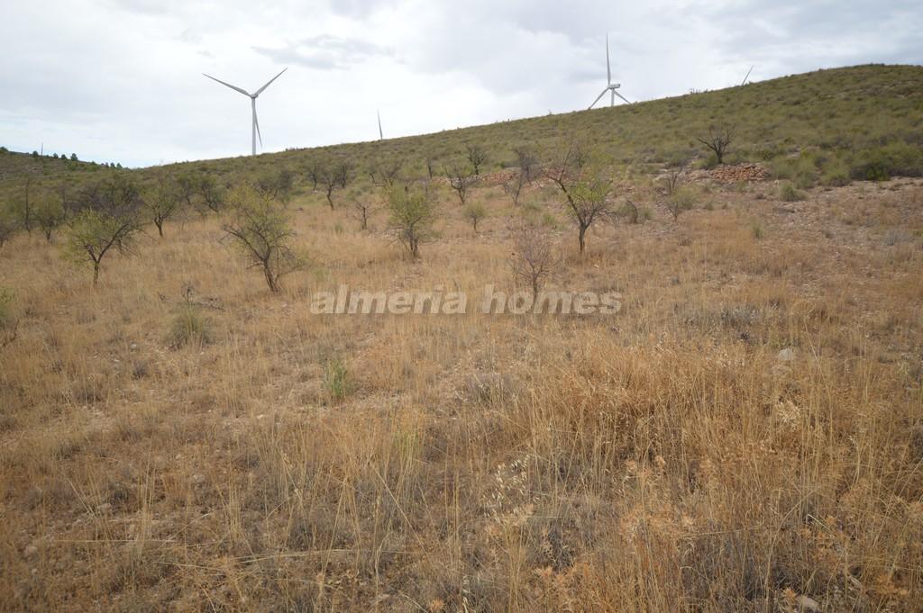 Plot zum Verkauf in Almería and surroundings 5