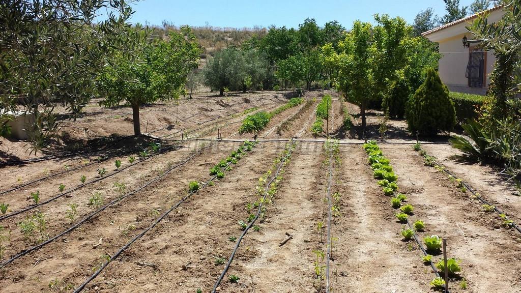 Villa te koop in Almería and surroundings 5