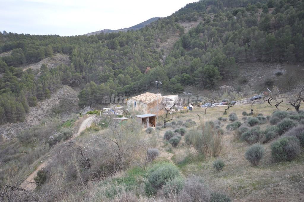 Landhaus zum Verkauf in Almería and surroundings 15