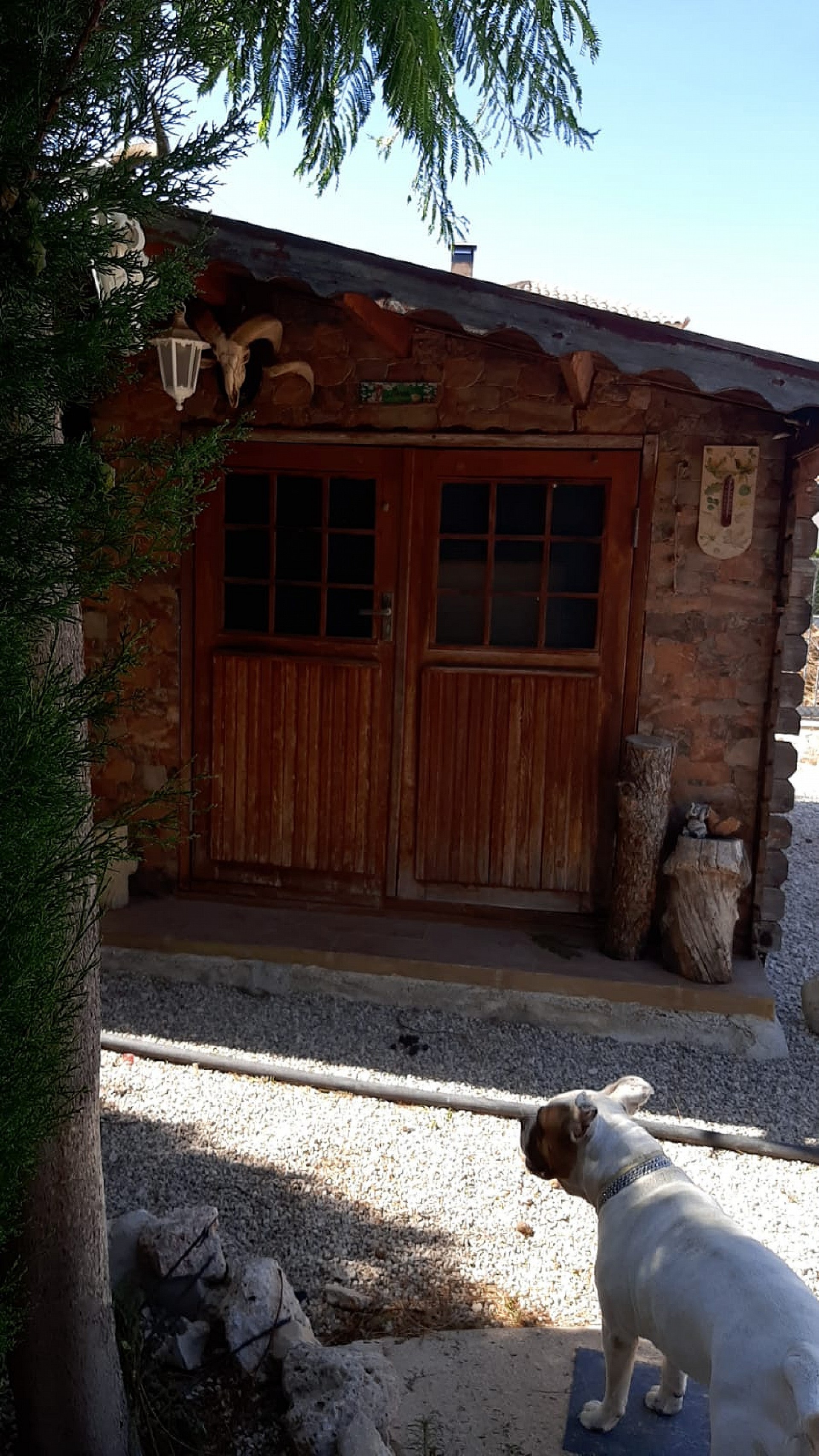 Countryhome te koop in Guardamar and surroundings 5