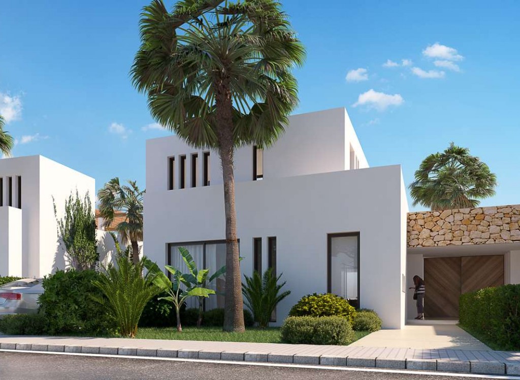 Villa à vendre à Alicante 3