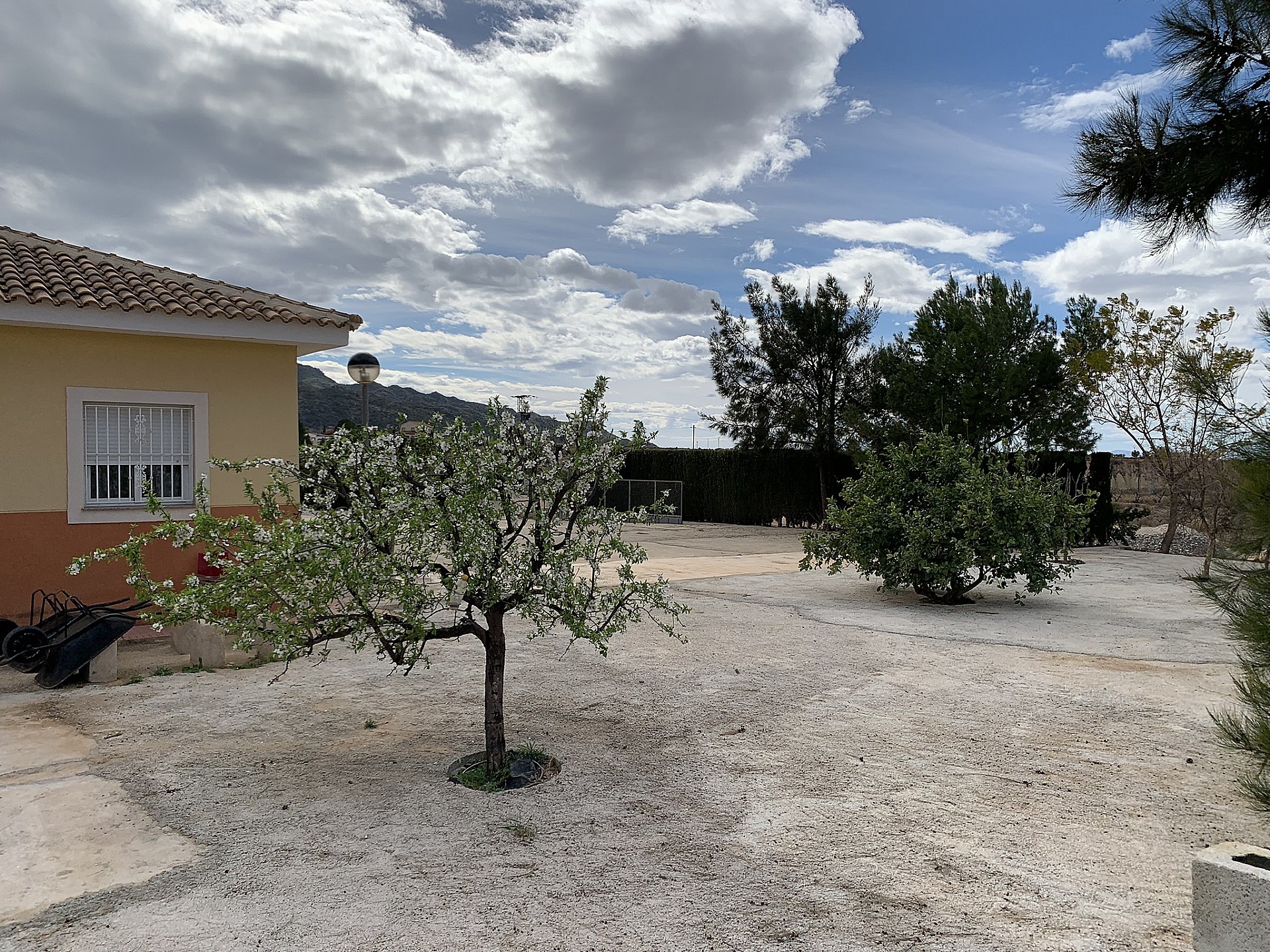 Villa te koop in Guardamar and surroundings 9