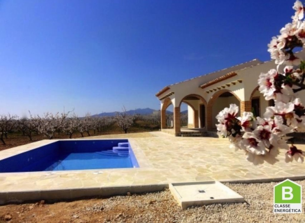 Villa à vendre à Alicante 2