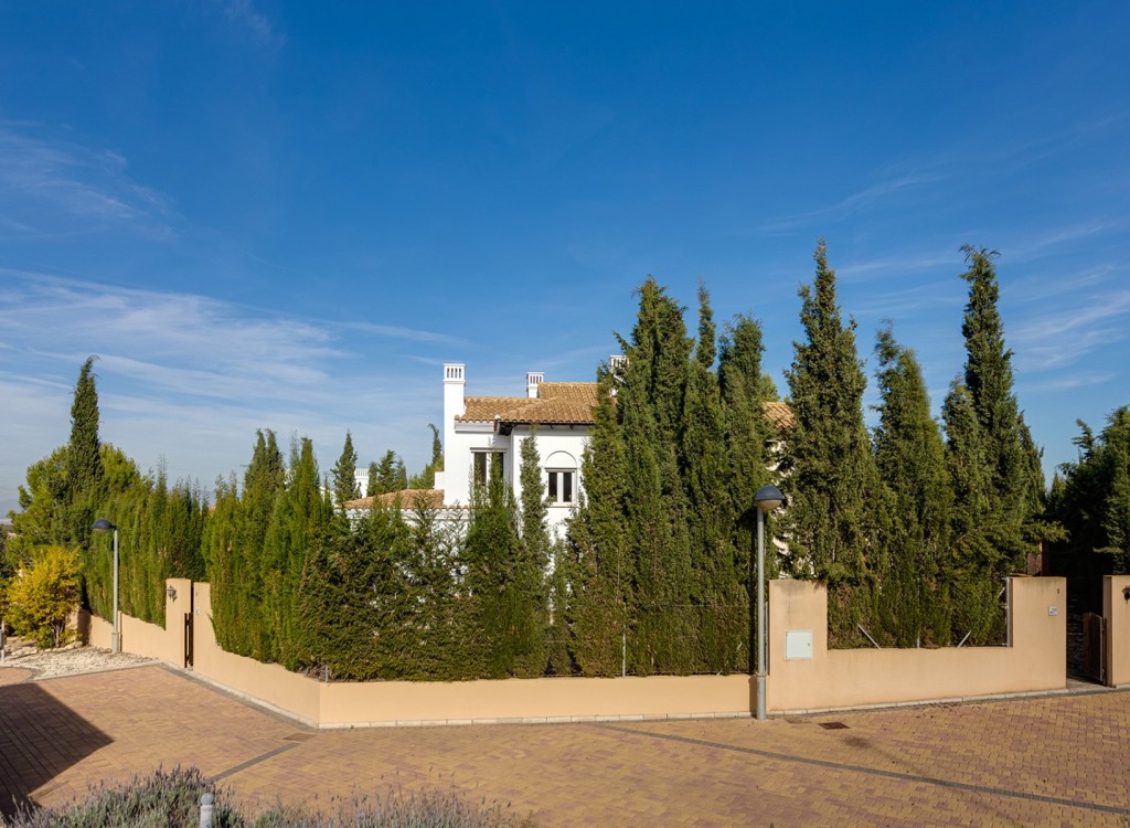 Villa till salu i Guardamar and surroundings 30